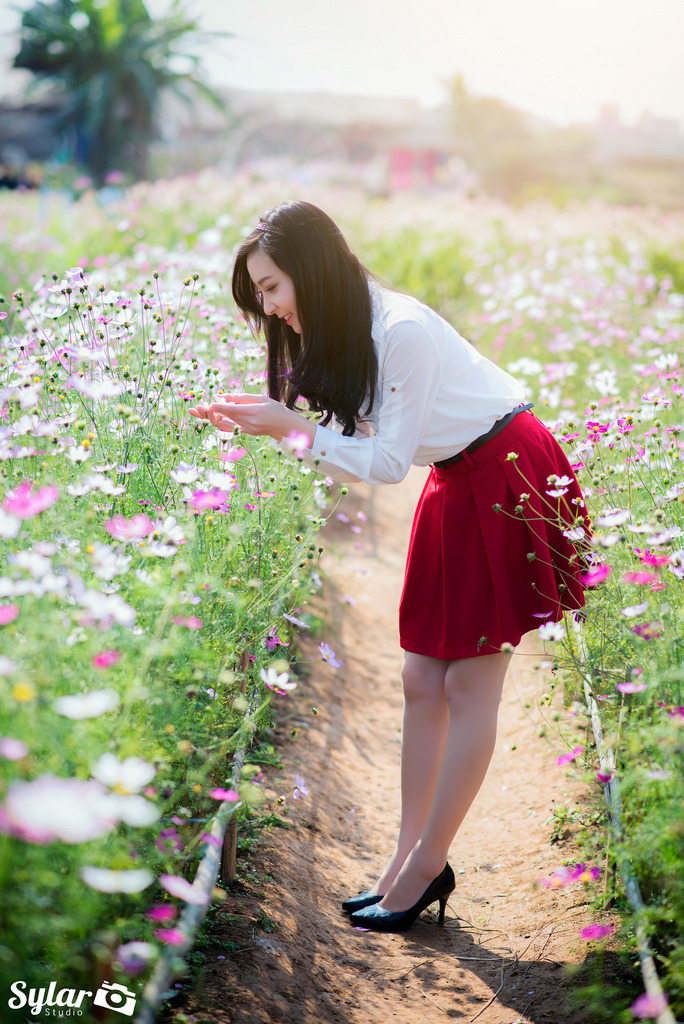 欧美freegay