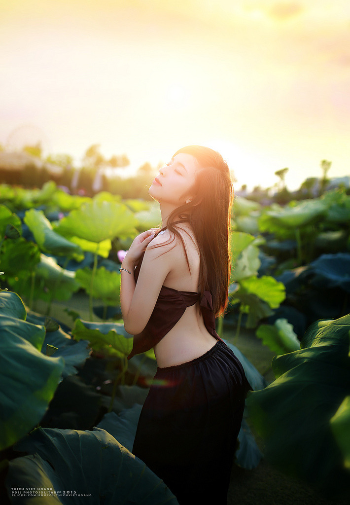 我的嫂子